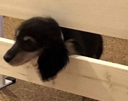 やっつけ仕事は設計ミス