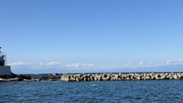 本年もよろしくお願いします