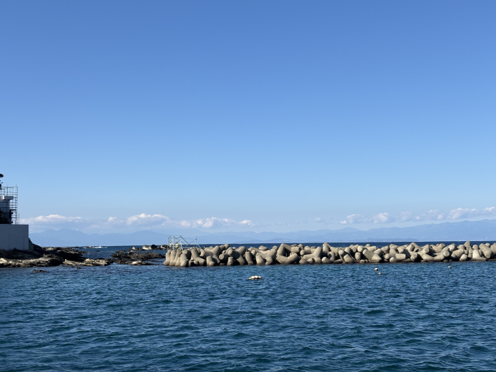 本年もよろしくお願いします