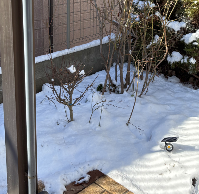 やっぱりこの冬も雪が積もった　1月の電気代報告