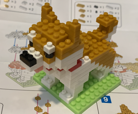 自粛中